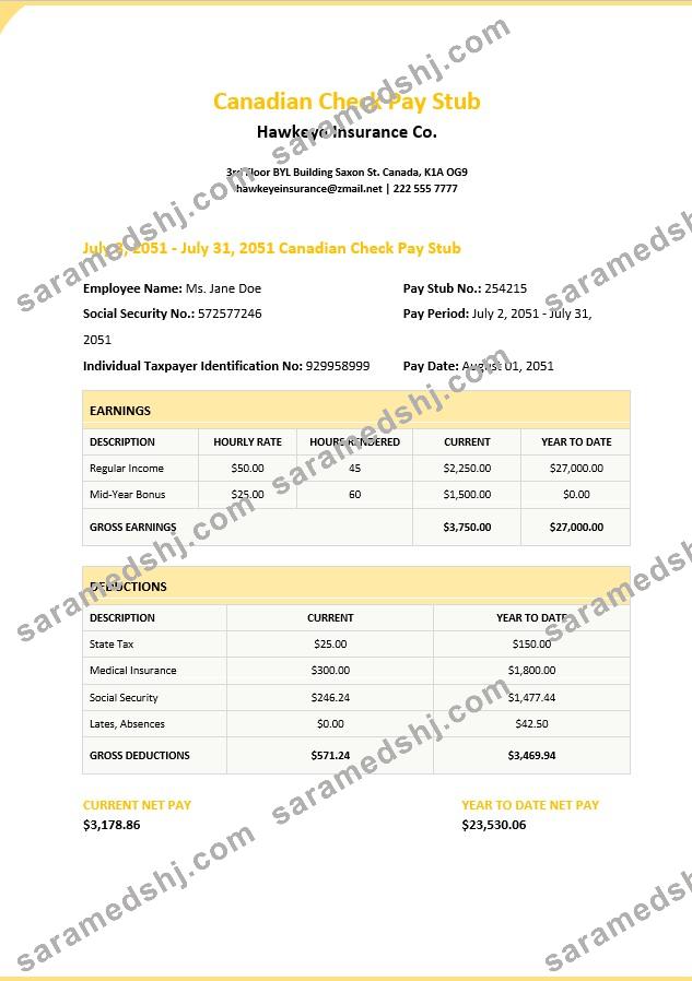 Canadian Check Pay Stub Template